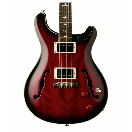 Prs se store case